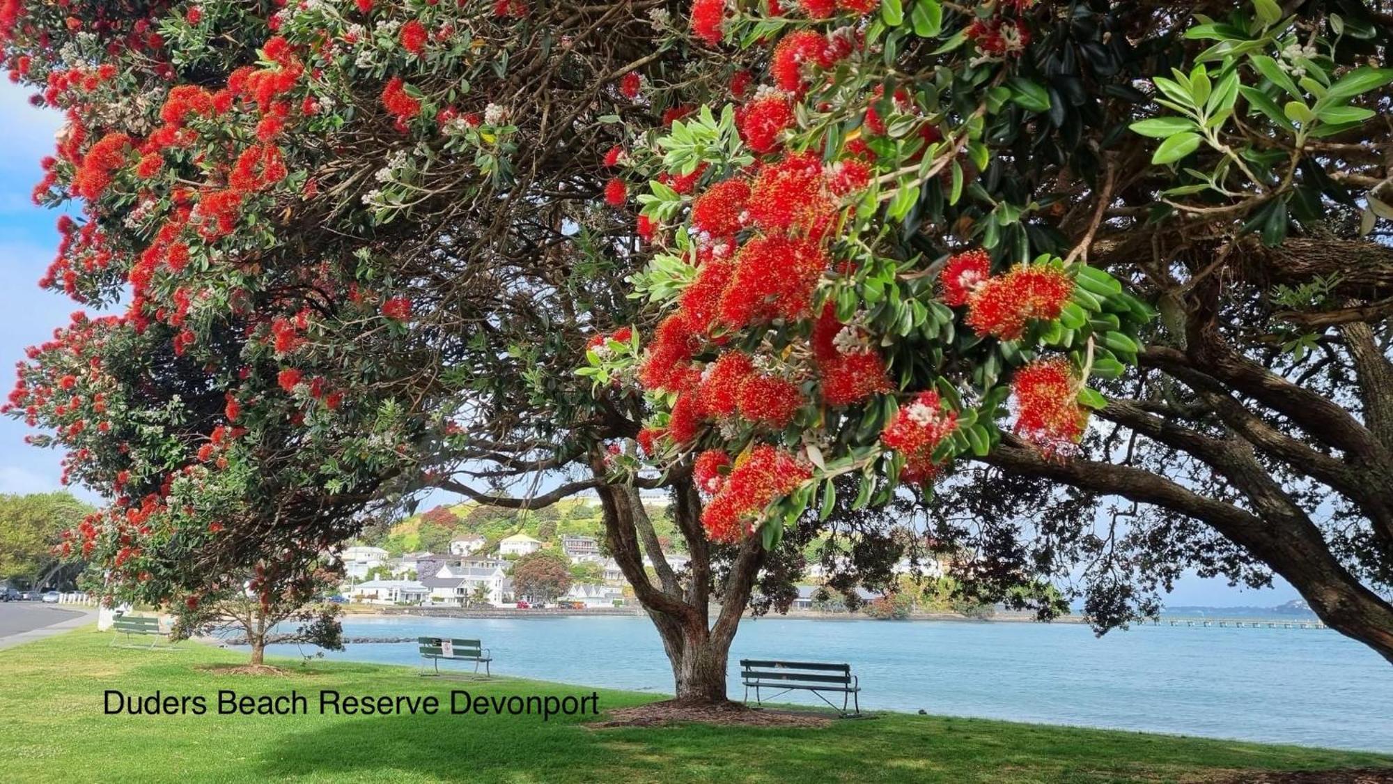 The Partchery Devonport Auckland Eksteriør billede